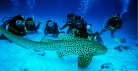 Andaman 6nights 7days